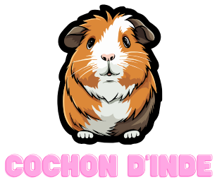 Cochon-D'inde.com- Tout sur le cochon d'inde